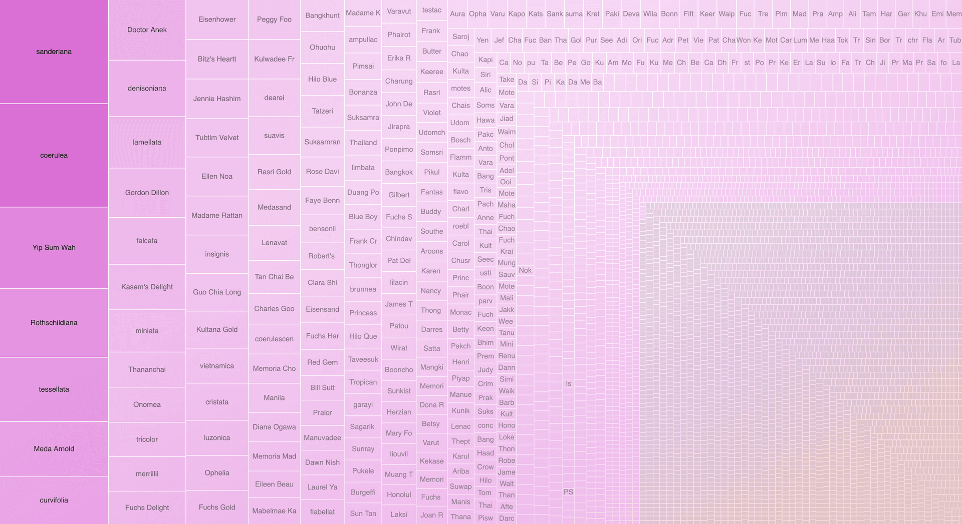 Ophrys orchid species and hybrids - Orchidex