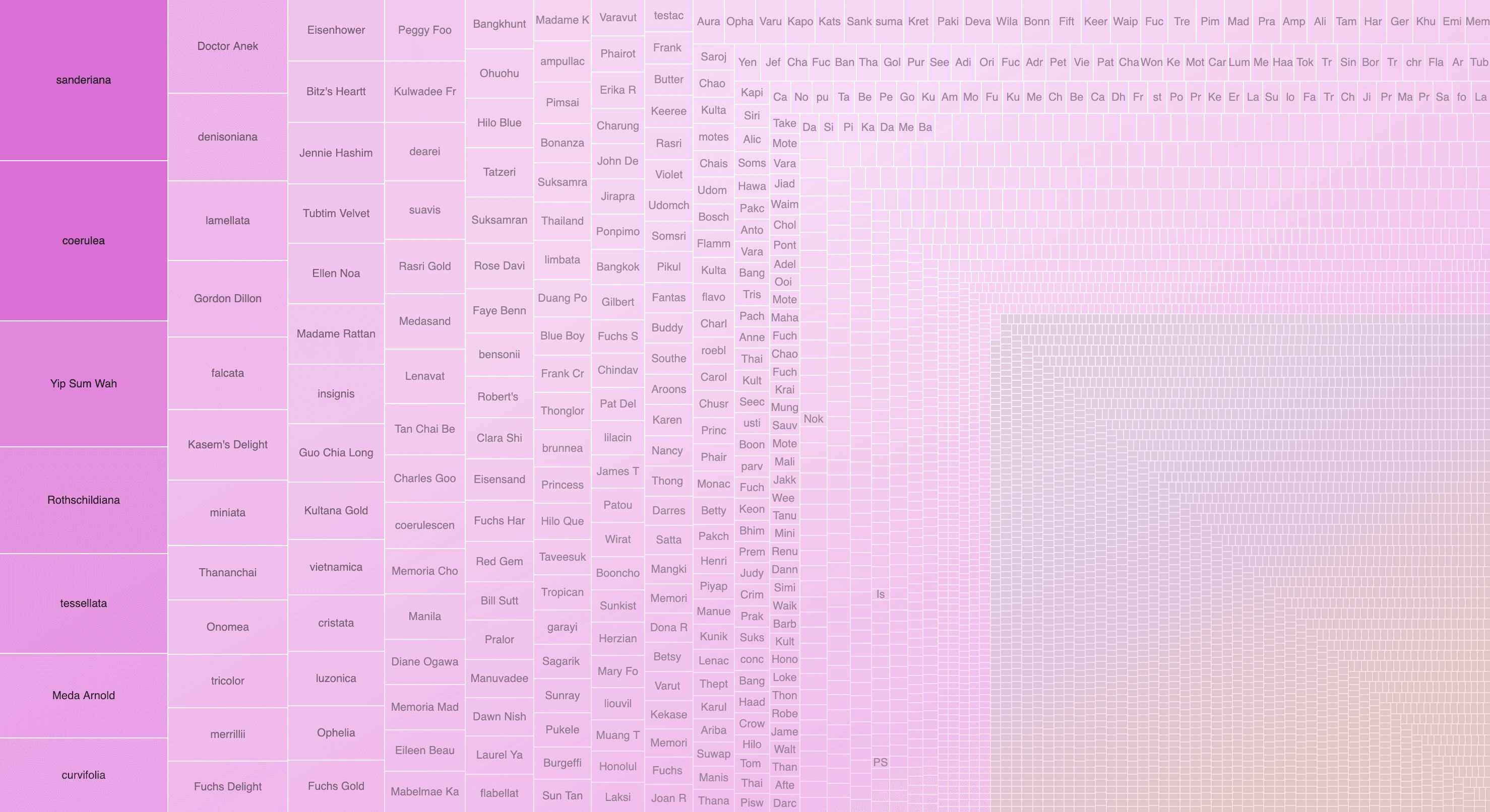 Image of parentage visualization